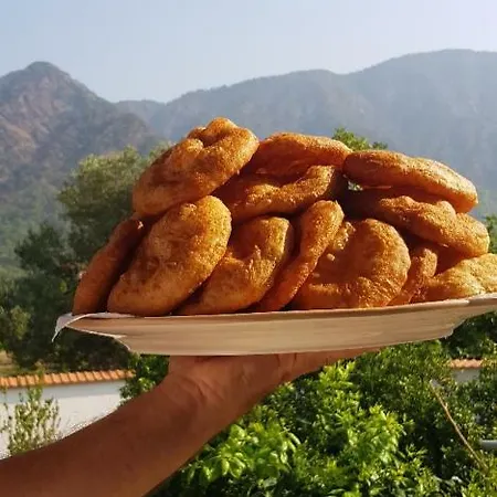호텔 Mandarin Koycegiz (Mugla)