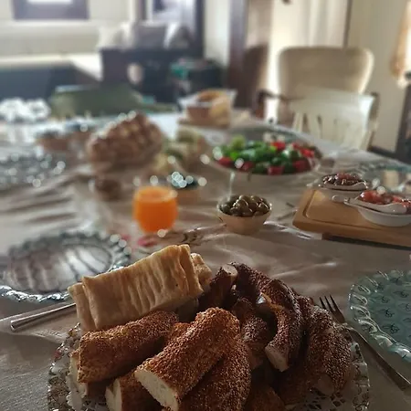 호텔 Mandarin Koycegiz (Mugla)